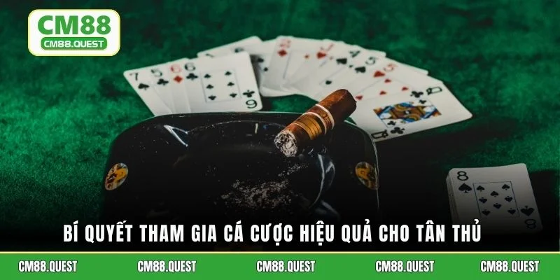 Bí quyết tham gia cá cược hiệu quả cho tân thủ