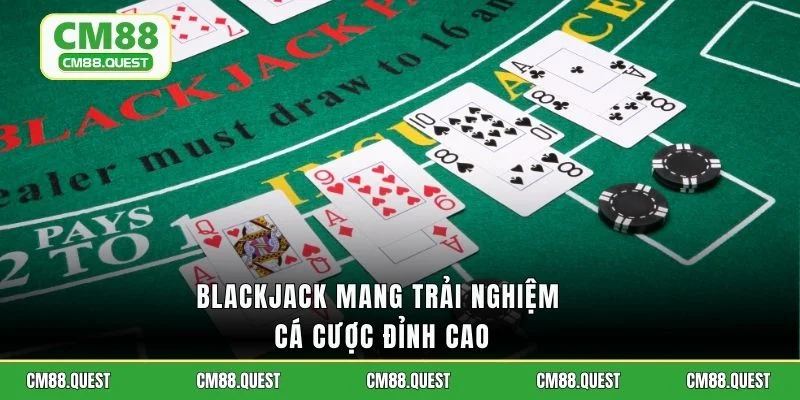 Blackjack mang trải nghiệm cá cược đỉnh cao